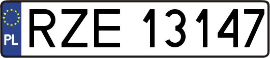 RZE13147