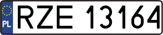RZE13164