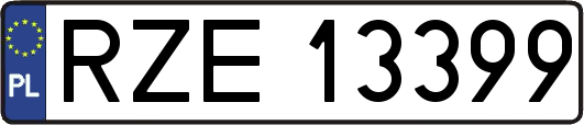 RZE13399