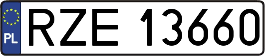 RZE13660
