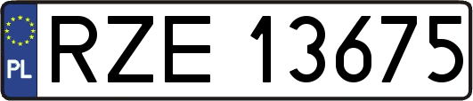 RZE13675
