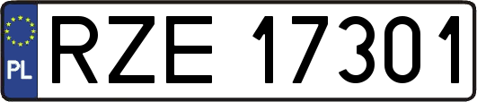 RZE17301
