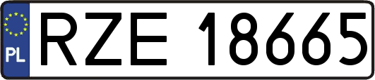 RZE18665