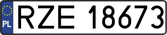 RZE18673