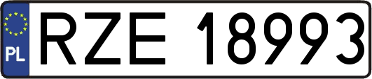 RZE18993