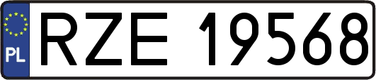 RZE19568