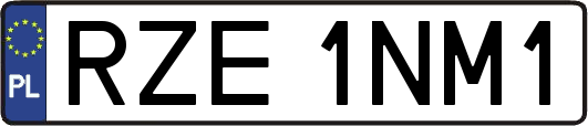 RZE1NM1