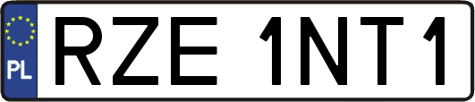 RZE1NT1