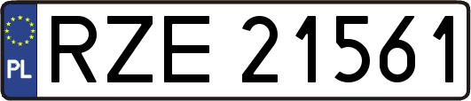 RZE21561