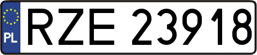 RZE23918