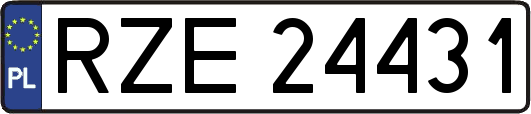 RZE24431