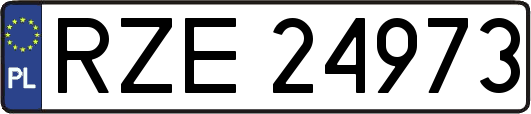 RZE24973