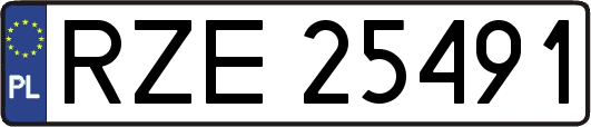 RZE25491