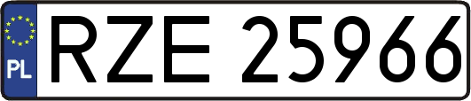 RZE25966