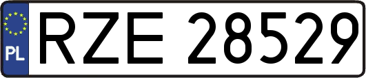 RZE28529
