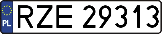RZE29313