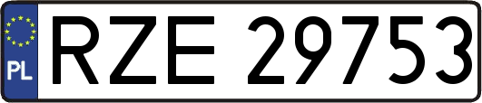 RZE29753