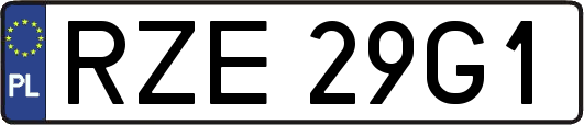 RZE29G1