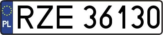 RZE36130