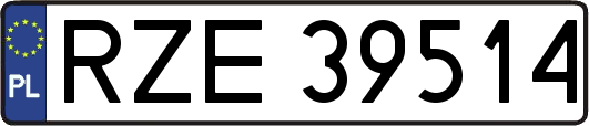 RZE39514