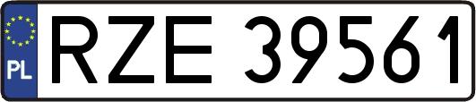 RZE39561