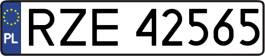 RZE42565