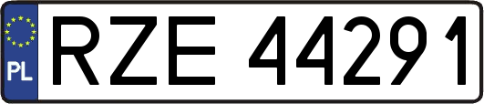 RZE44291