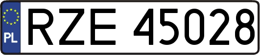 RZE45028