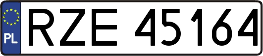 RZE45164