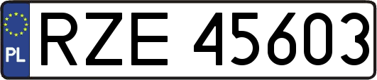 RZE45603