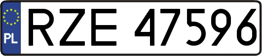 RZE47596