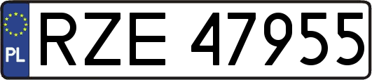 RZE47955