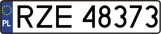 RZE48373