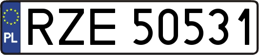 RZE50531