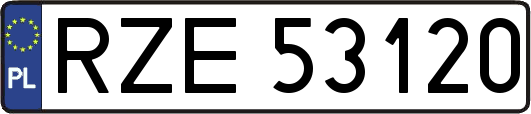 RZE53120