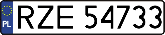 RZE54733