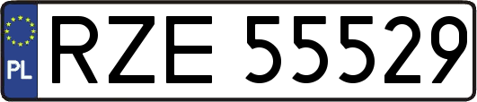 RZE55529