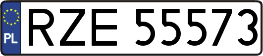 RZE55573
