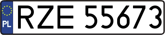 RZE55673