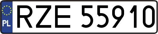 RZE55910