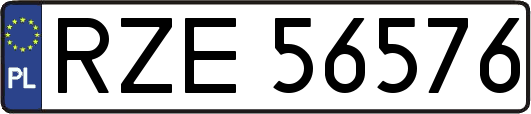 RZE56576