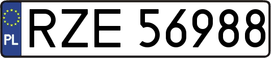 RZE56988