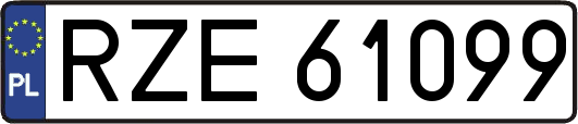 RZE61099