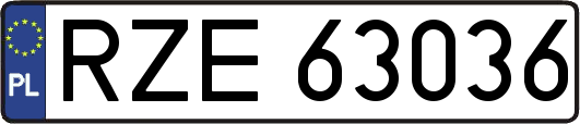 RZE63036