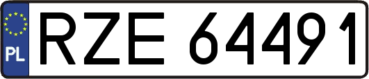 RZE64491