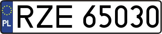 RZE65030