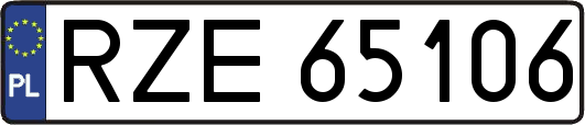 RZE65106