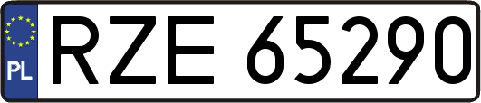 RZE65290