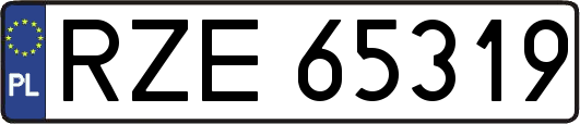 RZE65319