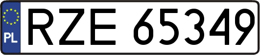 RZE65349